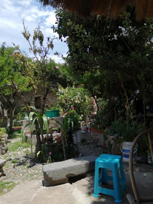 Hostal el tambo image 5