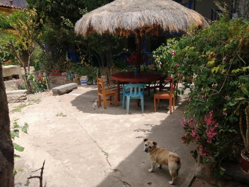 Hostal el tambo image 8